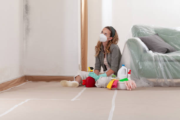 Reliable Crawl Space Mold Remediation contractor in Brighton, MI by Car Mold Remediation